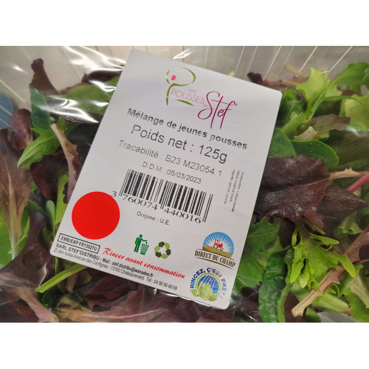 MELANGE DE JEUNES POUSSES 125G