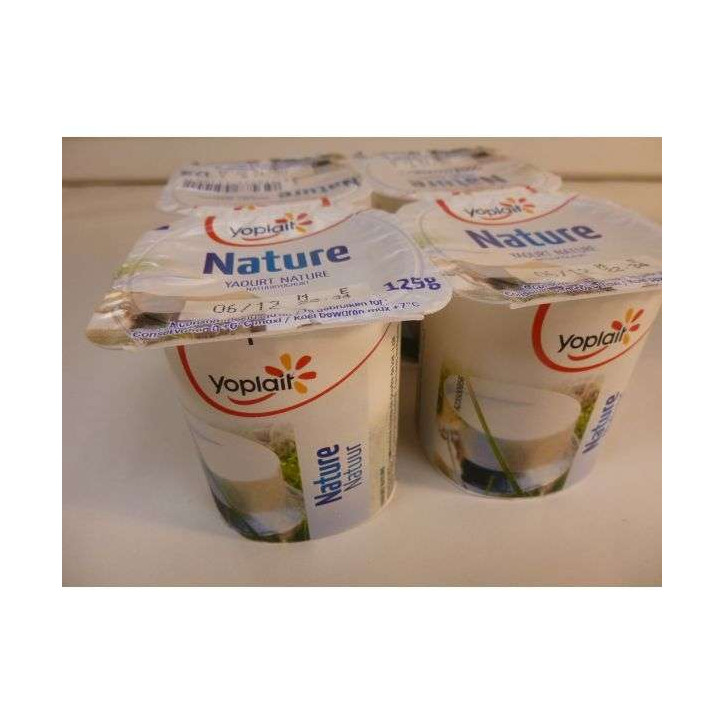 YAOURT NATURE 500 GR