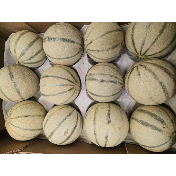 MELON A LA PIECE         ( DECLASSE )
