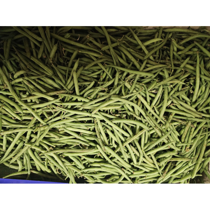 HARICOT VERT AU KG 