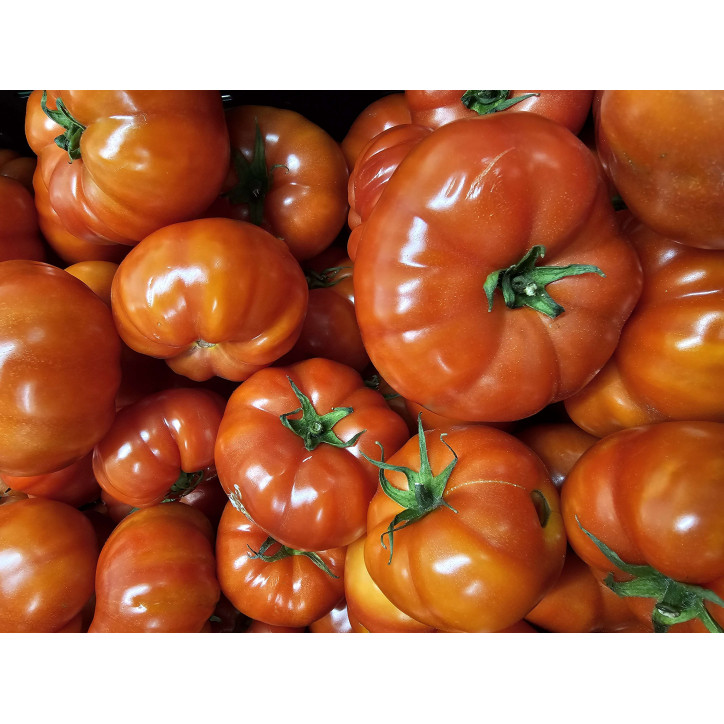 TOMATE NORMANDE AU KG 
