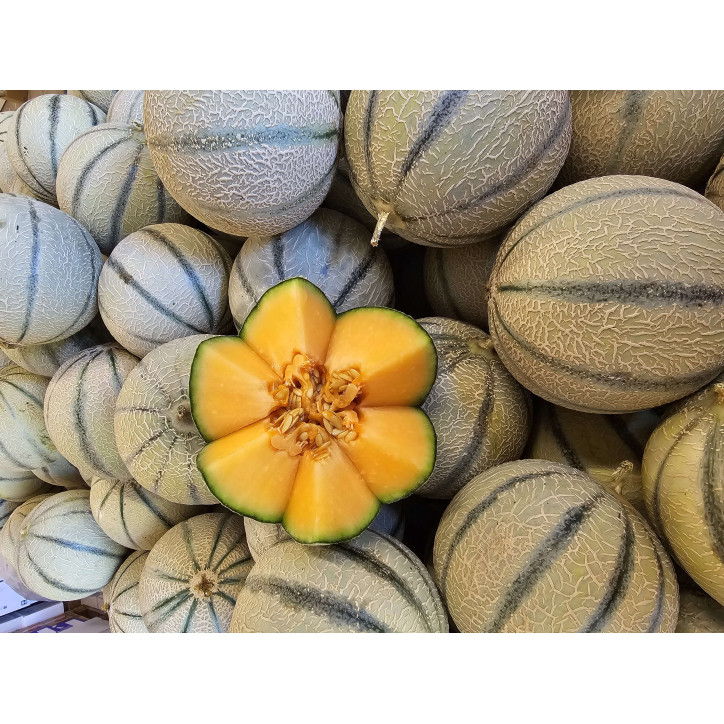 MELON  CHARENTAIS A LA PIECE