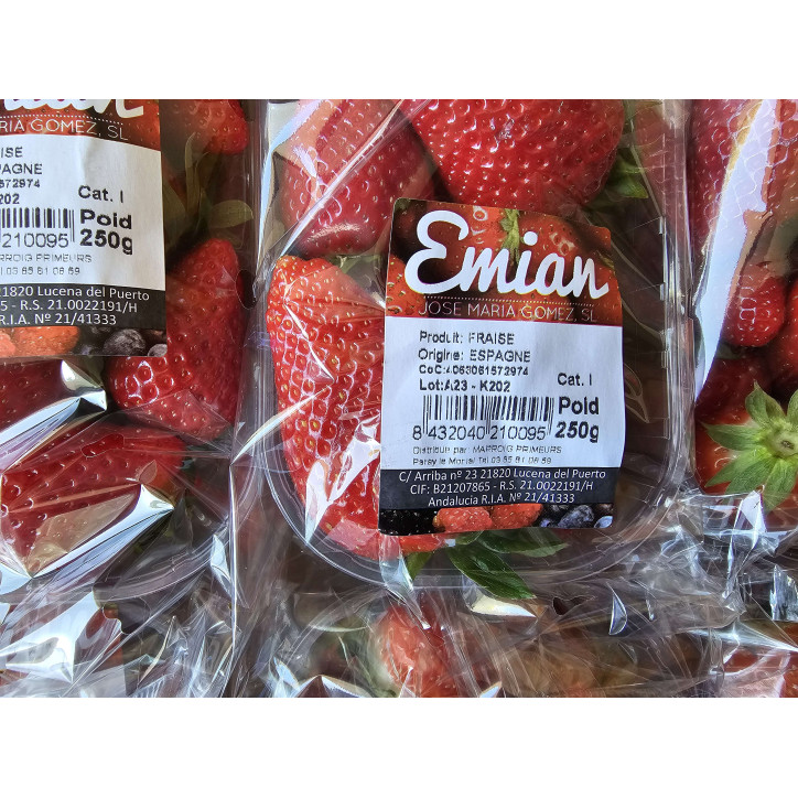 FRAISE 500 GRS 