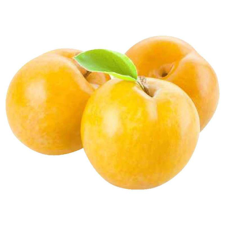 PRUNES AU KG