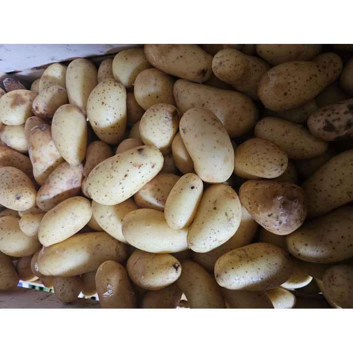 POMME DE TERRE AMANDINE AU KG