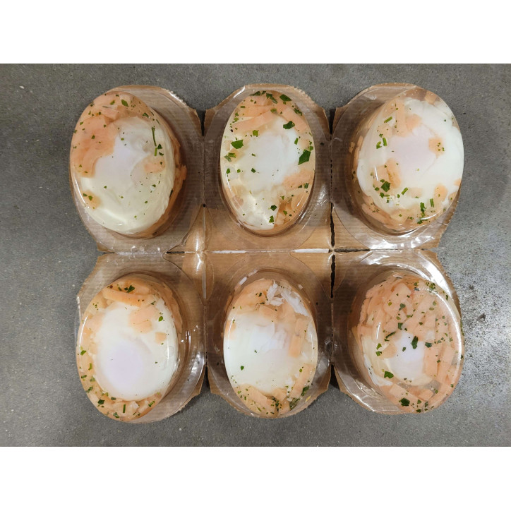 6 ASPICS SAUMON 540G