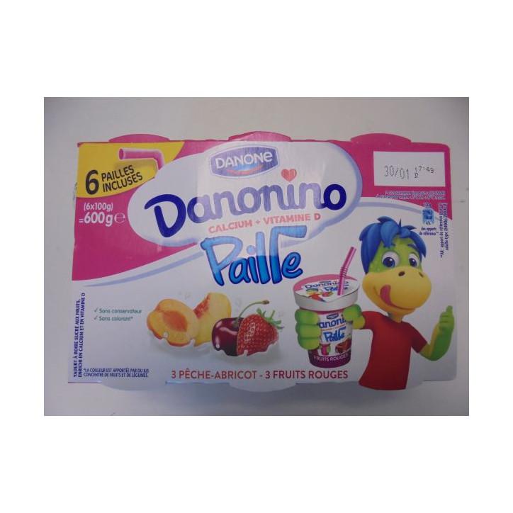 DANONINO PAILLE 600 GRS