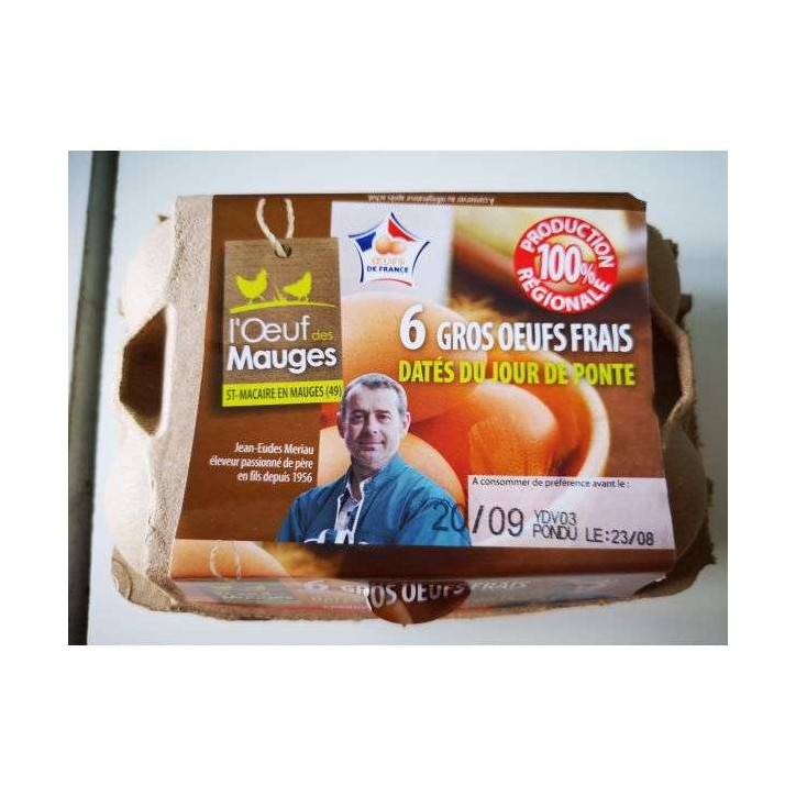 6 GROS OEUFS MAUGES 