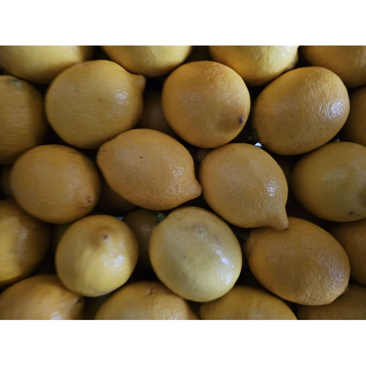 CITRON JAUNE AU KG 