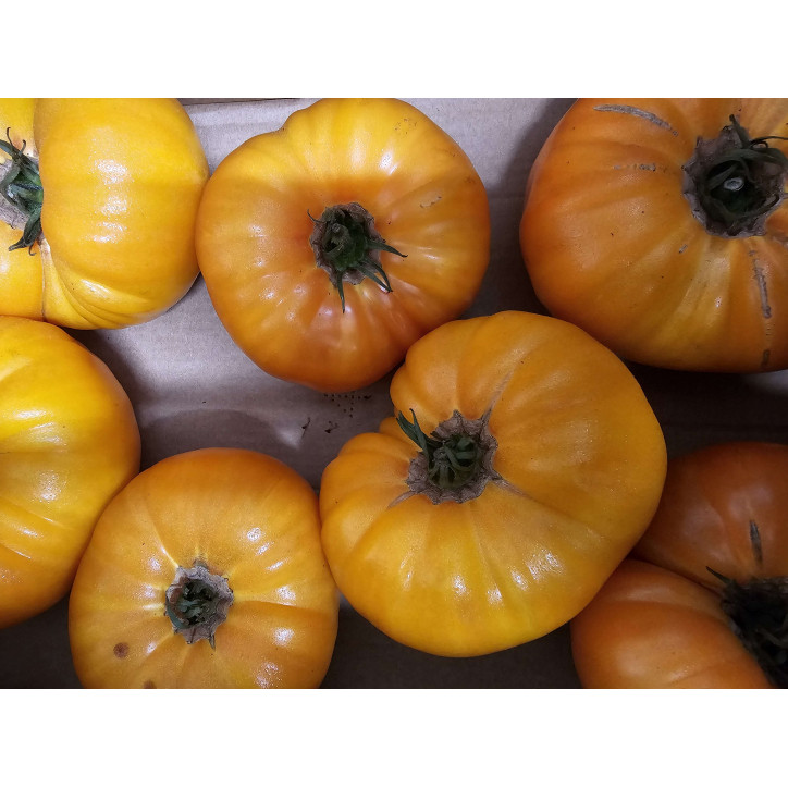 TOMATE ANANAS AU KG 