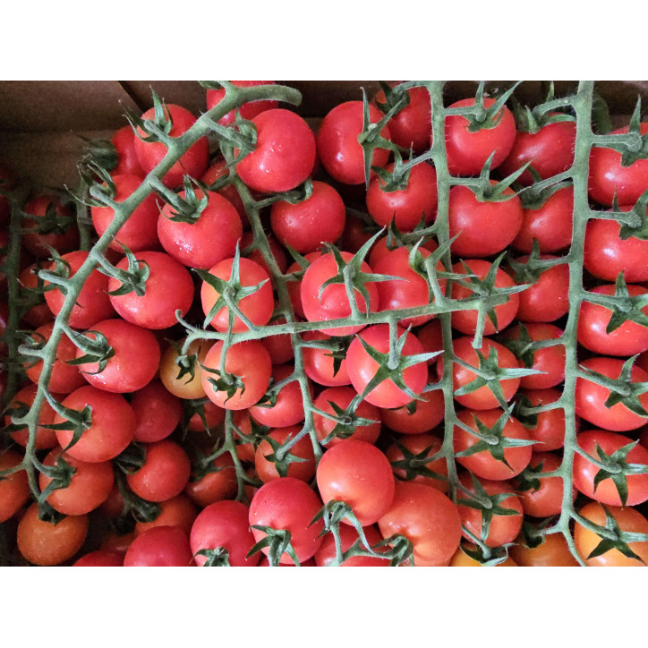 TOMATE CERISE GRAPPE AU KG 