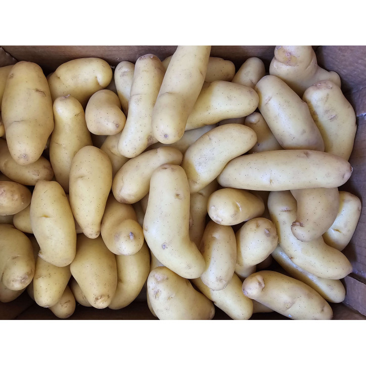 POMME DE TERRE DELICATESS AU KG 
