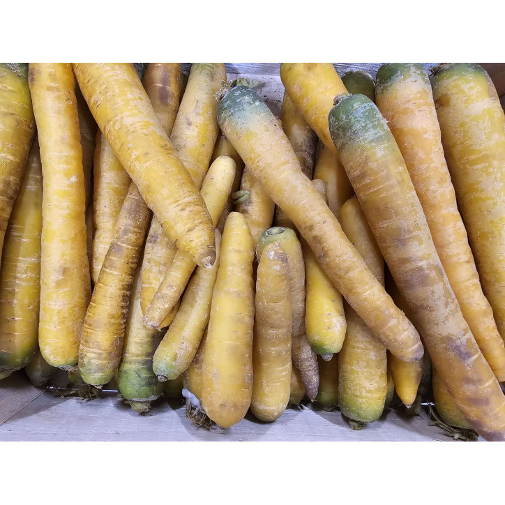 CAROTTES JAUNES AU KG 