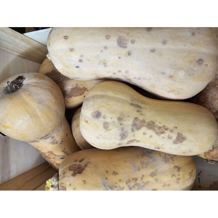 BUTTERNUT À LA PIÈCE
