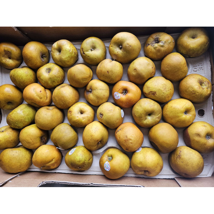 POMME CANADA GRISE AU KG 