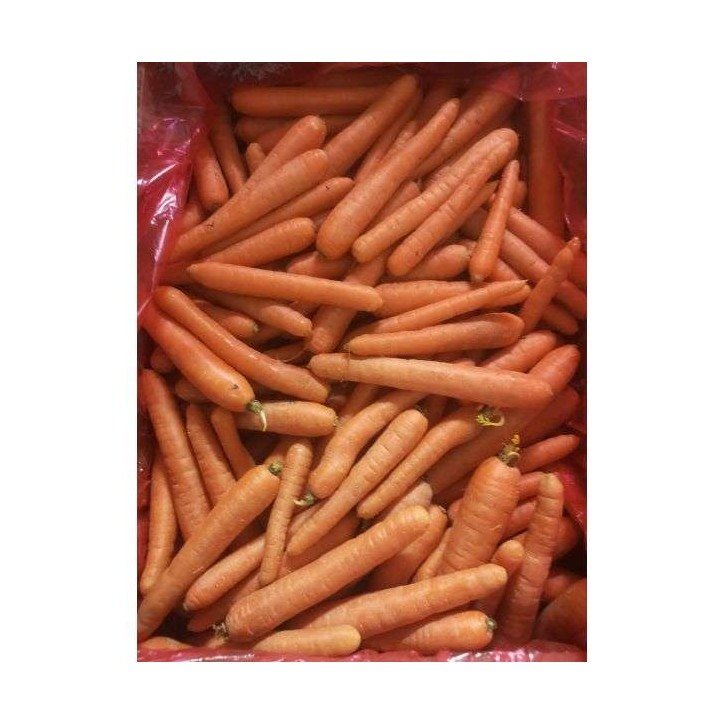CAROTTES AU KG