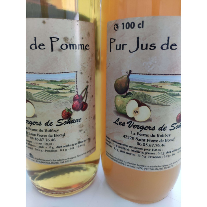 JUS DE POMME 1L 