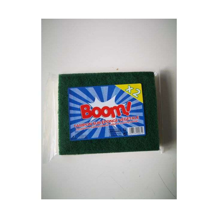 ÉPONGE BOOM VERT VÉGÉTALE X2