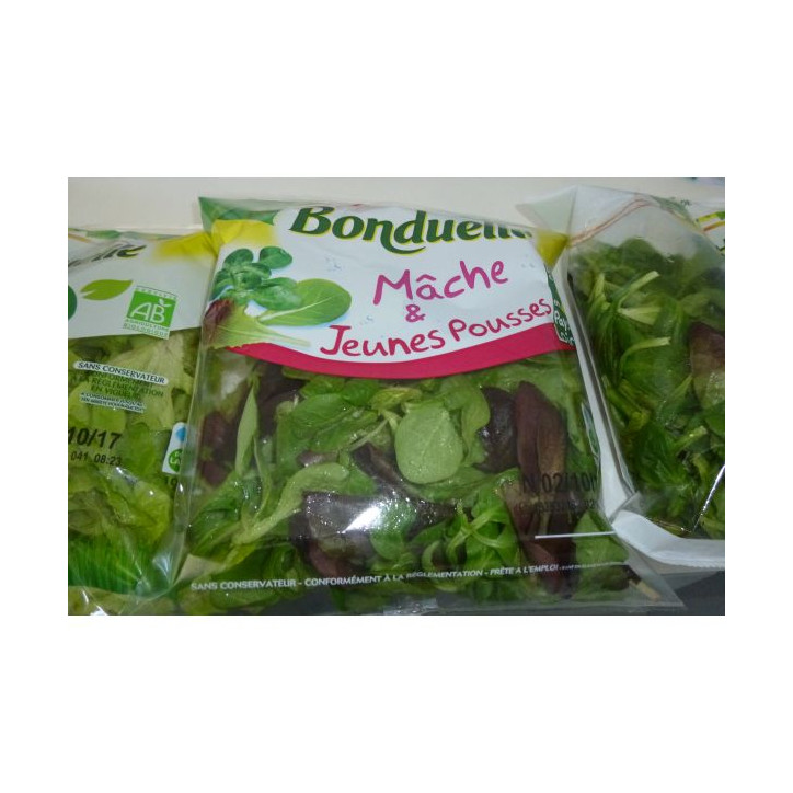 SALADE 100 GR
